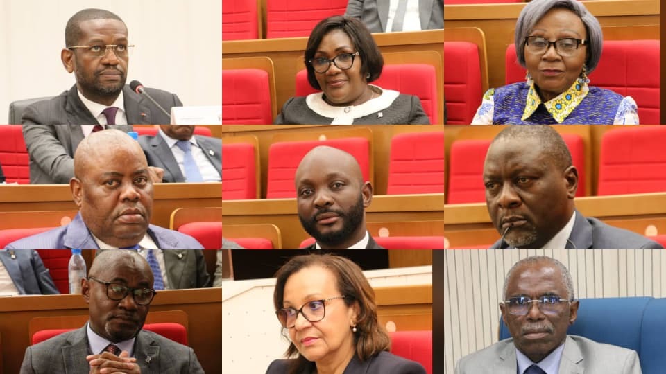 Assemblée nationale : comment l’UDB a pris le contrôle des commissions clés